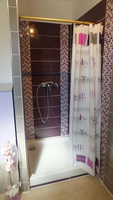 Appartement Romana Puissalicon 34 Zewnętrze zdjęcie